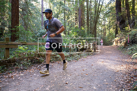 Coastal_Woodside26-427