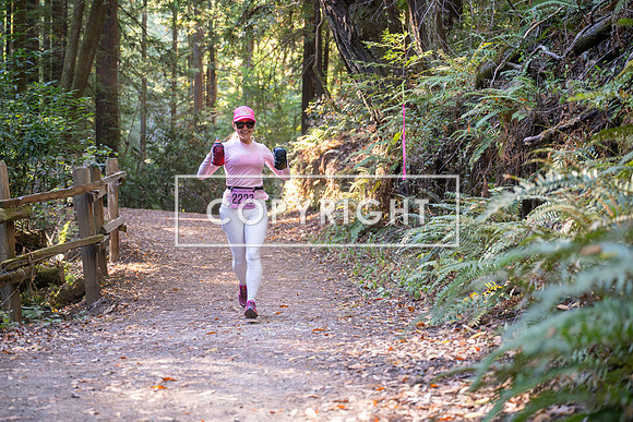 Coastal_Woodside26-428