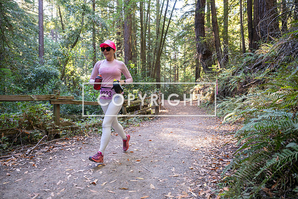 Coastal_Woodside26-429