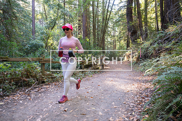 Coastal_Woodside26-430