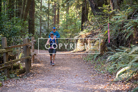 Coastal_Woodside26-432