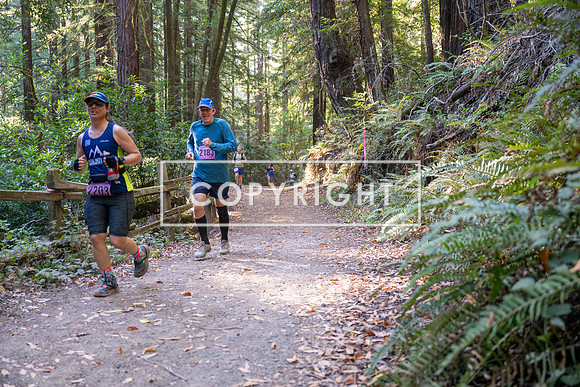 Coastal_Woodside26-433