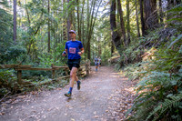 Coastal_Woodside26-258