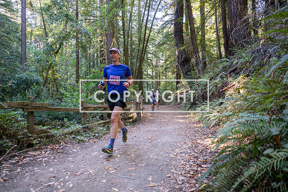 Coastal_Woodside26-258