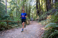 Coastal_Woodside26-259