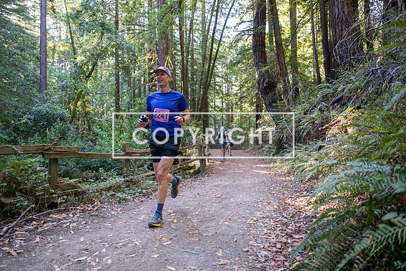 Coastal_Woodside26-259