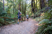 Coastal_Woodside26-260