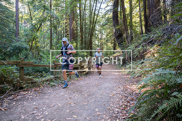 Coastal_Woodside26-261