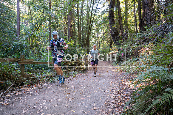 Coastal_Woodside26-262