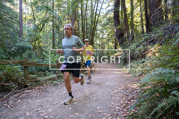 Coastal_Woodside26-264