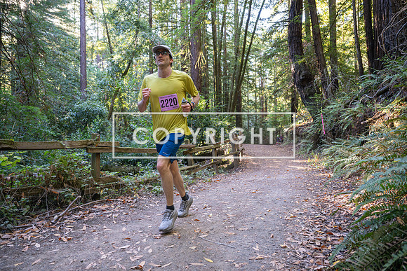 Coastal_Woodside26-265