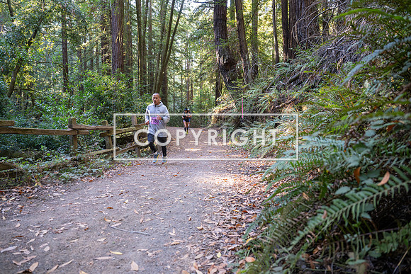 Coastal_Woodside26-311