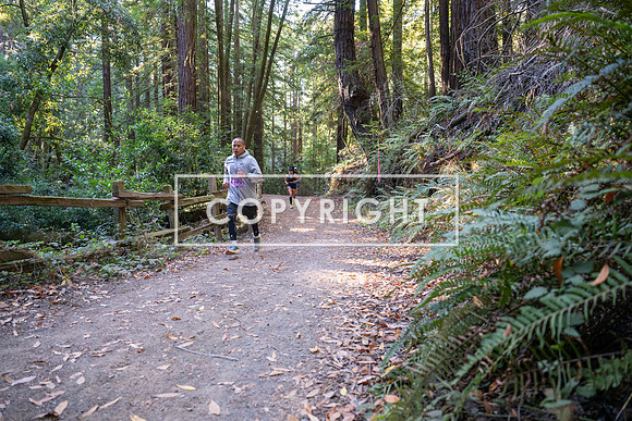 Coastal_Woodside26-312