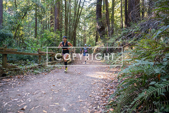 Coastal_Woodside26-313