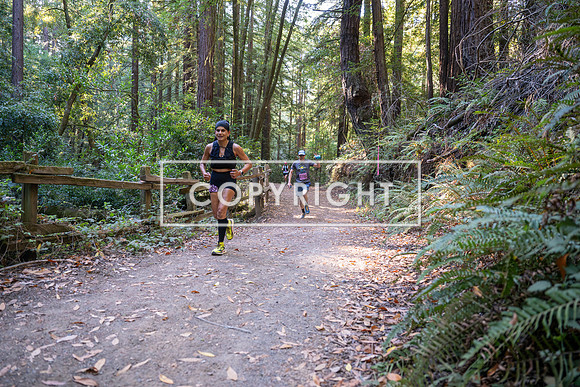 Coastal_Woodside26-315