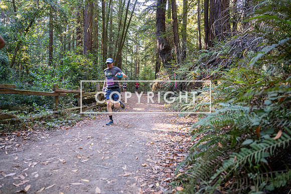 Coastal_Woodside26-316