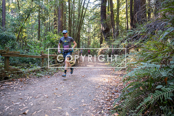 Coastal_Woodside26-317