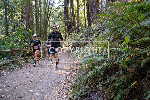 Coastal_Woodside26-415