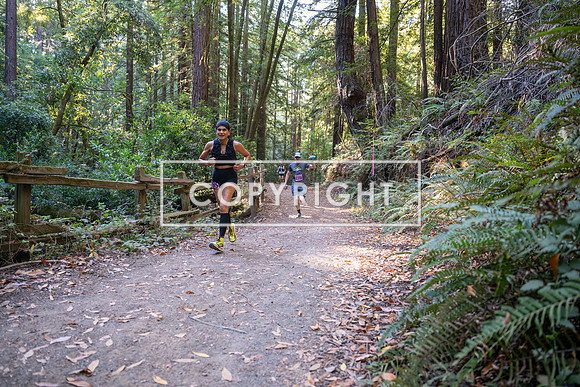 Coastal_Woodside26-314