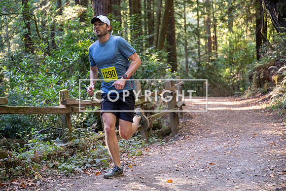 Coastal_Woodside26-465