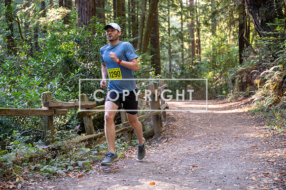 Coastal_Woodside26-464