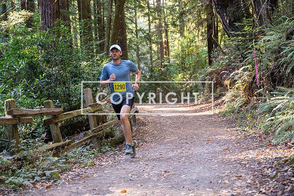 Coastal_Woodside26-463