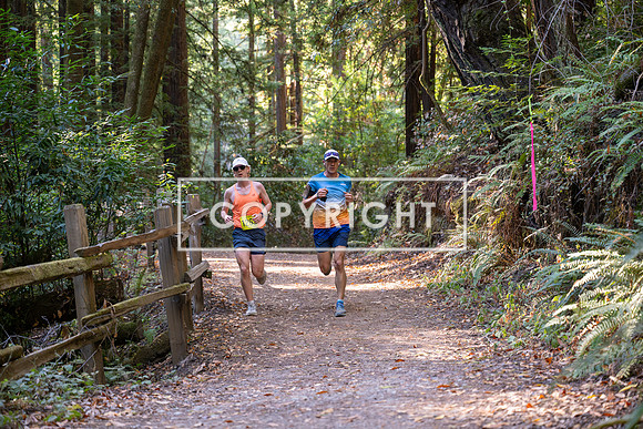 Coastal_Woodside26-467