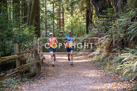 Coastal_Woodside26-466
