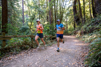 Coastal_Woodside26-468