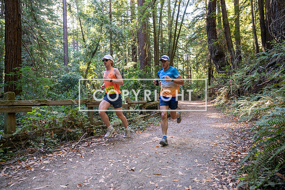 Coastal_Woodside26-468
