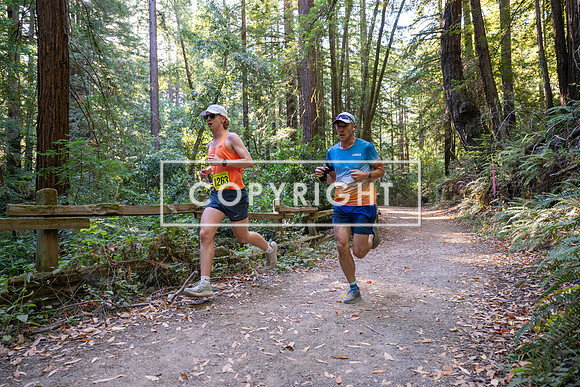 Coastal_Woodside26-469