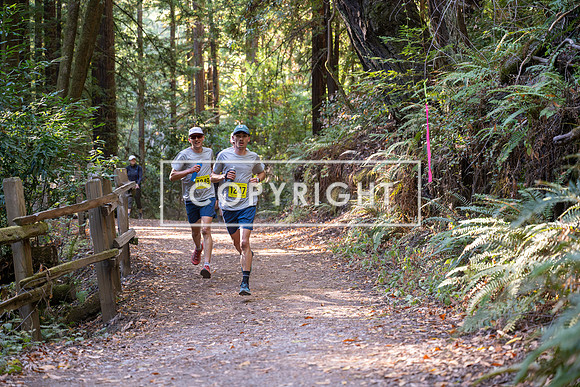 Coastal_Woodside26-472