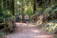 Coastal_Woodside26-471