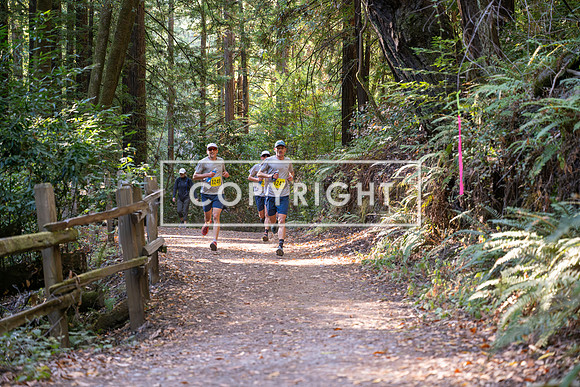 Coastal_Woodside26-471
