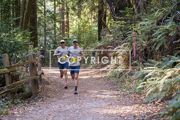 Coastal_Woodside26-473