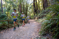Coastal_Woodside26-475