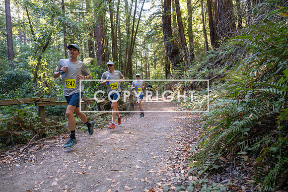 Coastal_Woodside26-475