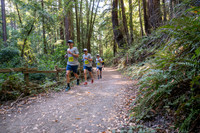 Coastal_Woodside26-474