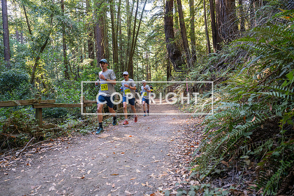 Coastal_Woodside26-474