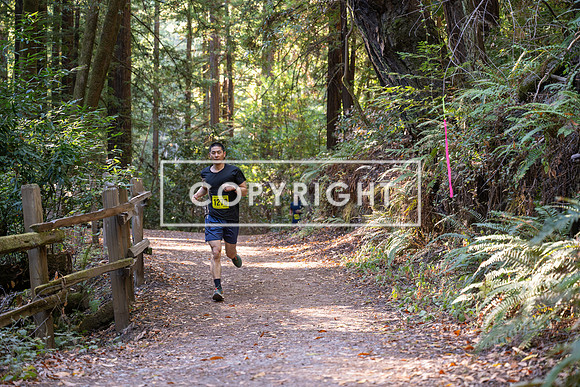 Coastal_Woodside26-479