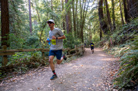 Coastal_Woodside26-478