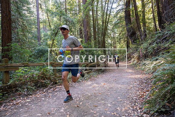 Coastal_Woodside26-478