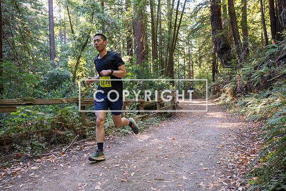 Coastal_Woodside26-482