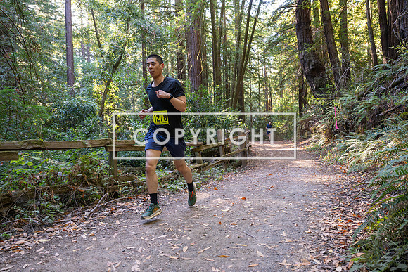 Coastal_Woodside26-481