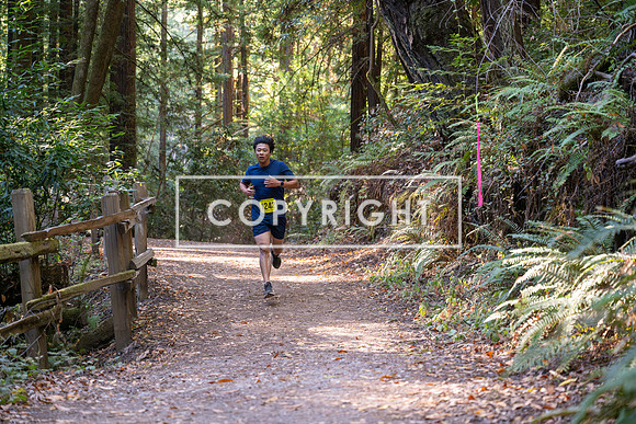 Coastal_Woodside26-483