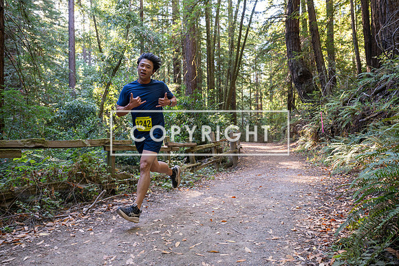 Coastal_Woodside26-485
