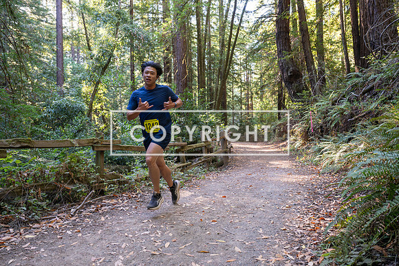 Coastal_Woodside26-484
