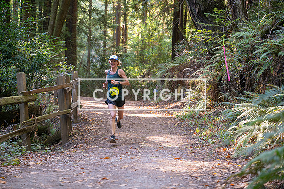 Coastal_Woodside26-486