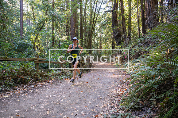 Coastal_Woodside26-487