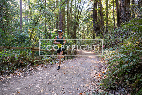 Coastal_Woodside26-488